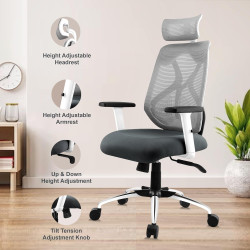 Astride Ergofit Ergonomic Computer Chair for Home/Office