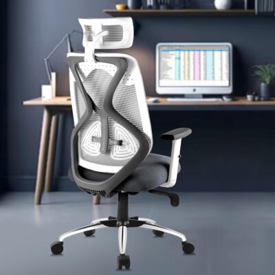astride-ergofit-ergonomic-computer-chair-for-home-office